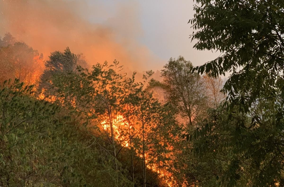 Yên Bái kịp thời dập tắt 3 vụ cháy rừng ở Mù Căng Chải 