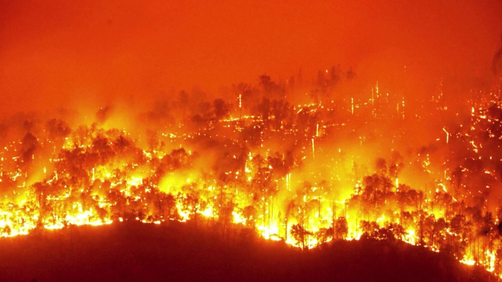 Châu Âu ghi nhận 2023 là một trong những năm cháy rừng tồi tệ nhất thế kỷ qua