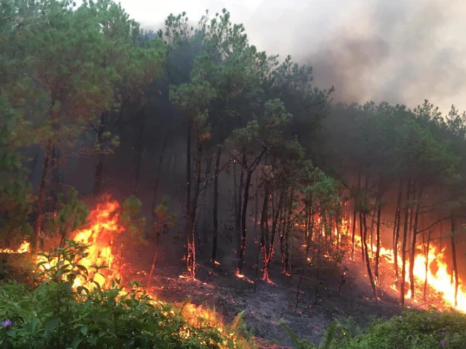 Cảnh báo hỏa hoạn, cháy rừng do nắng nóng kéo dài